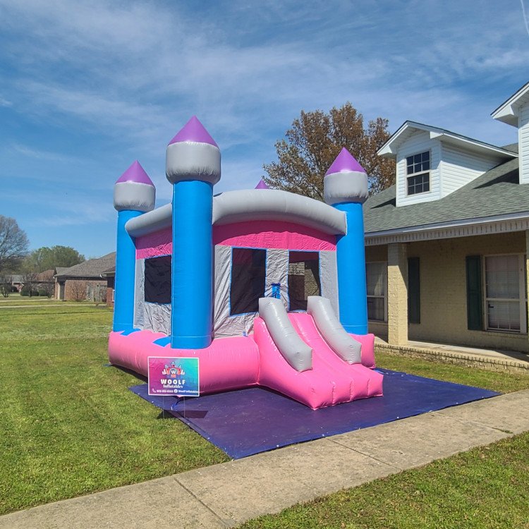 Princess bounce castle